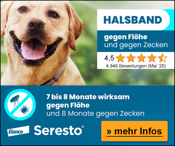 Hundehalsband